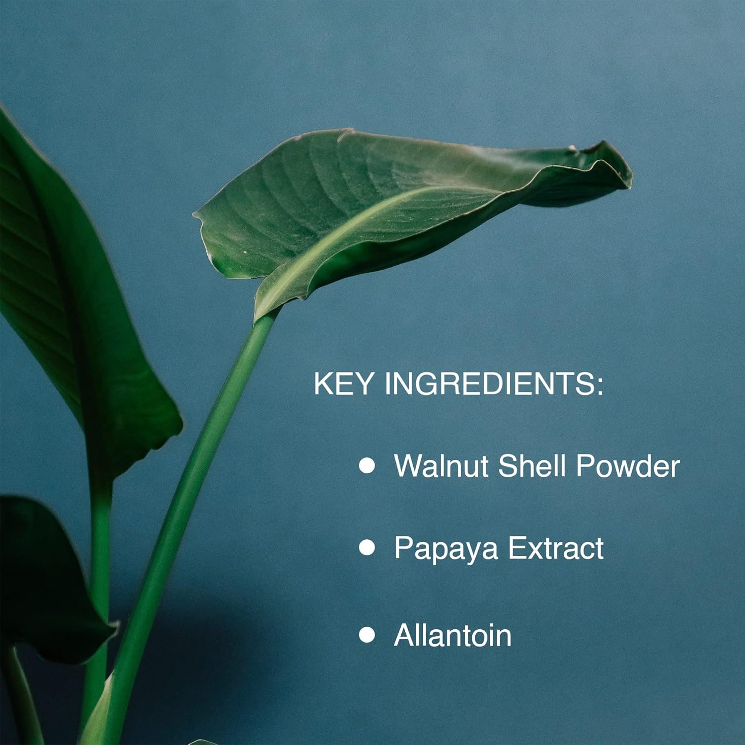 Pharmagel Enzyme Ex-Cell - Gentle Papaya Face Exfoliator Scrub for All Skin Types - 6 Ounces - Image 7